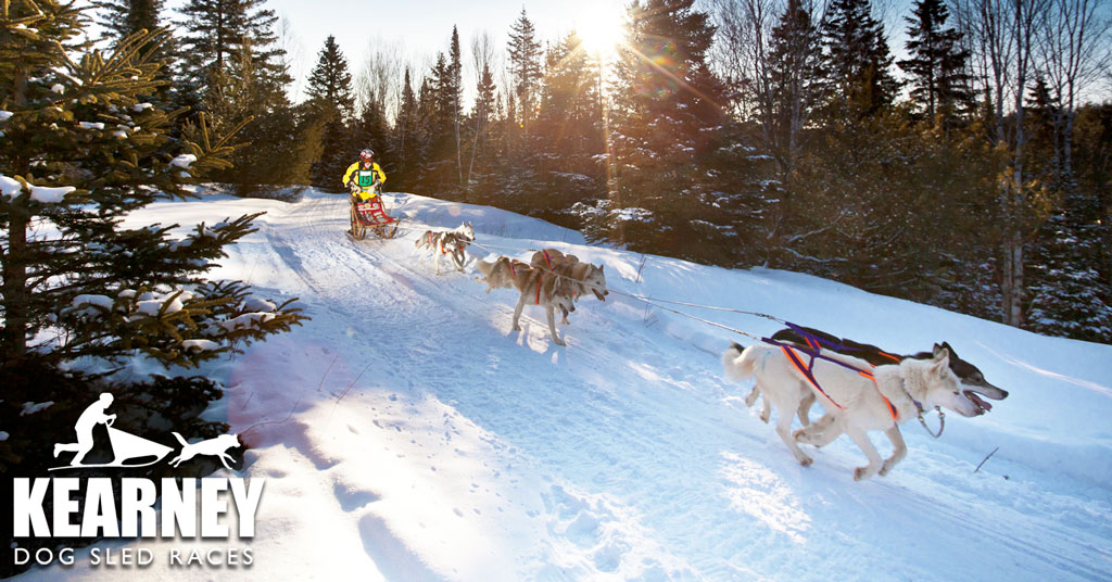 Kearney Dog Sled Races Ontario, Canada