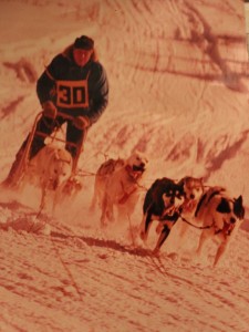 Kearney Dog Sled Races History