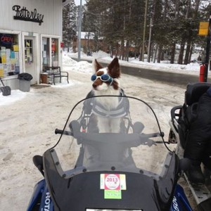 Kid & Mutt Race