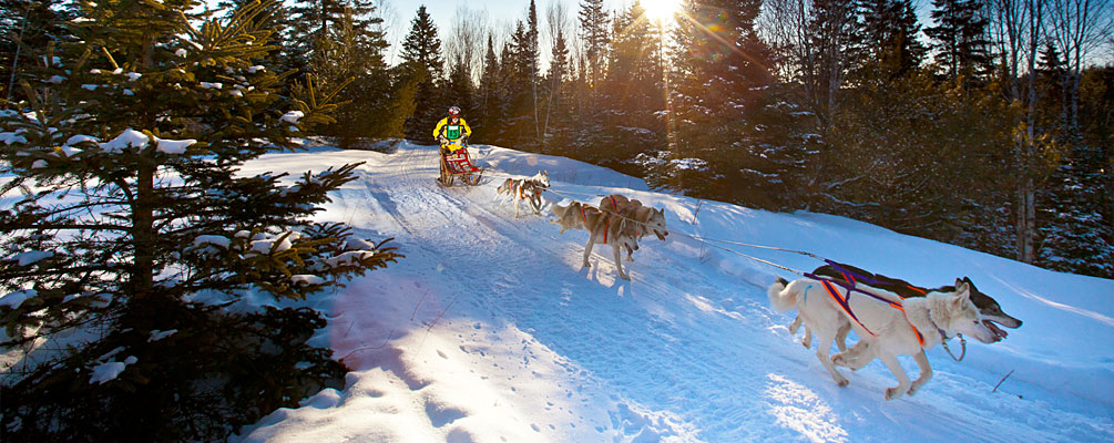 Volunteers Kearney Dog Sled Races