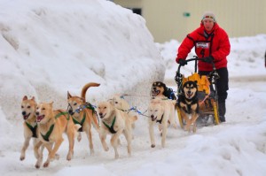 Kearney Dog Sled Races Press Release