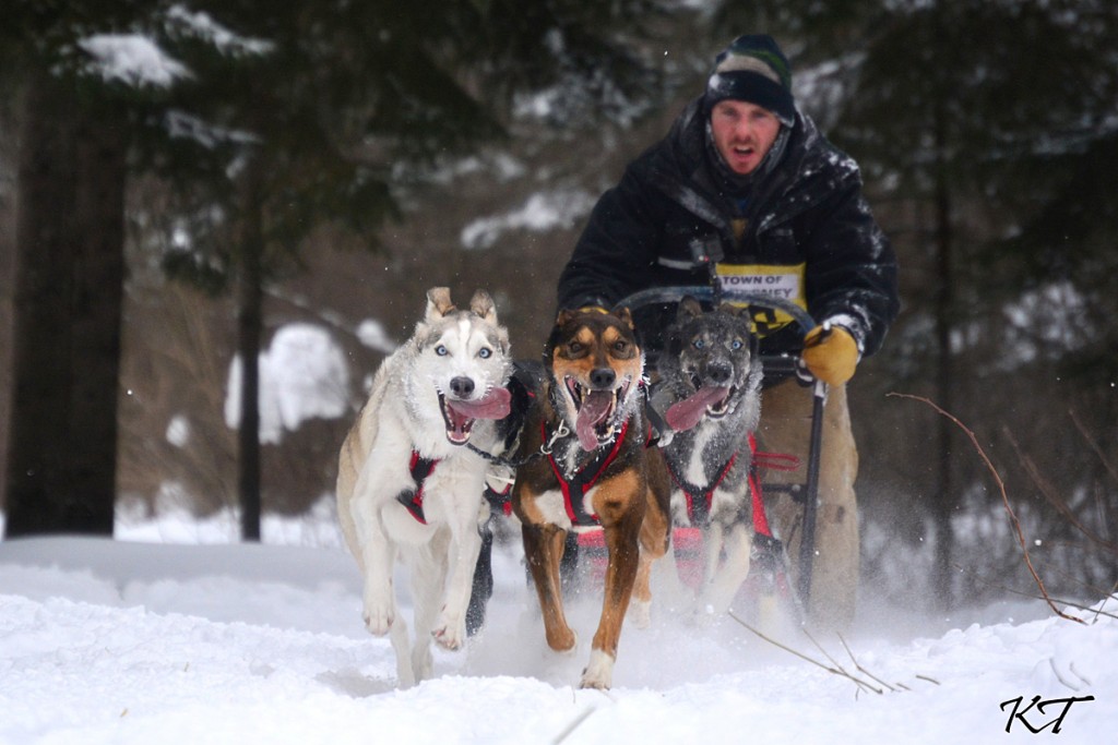 mushers view