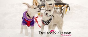 2015 Desiree Nickerson Photography