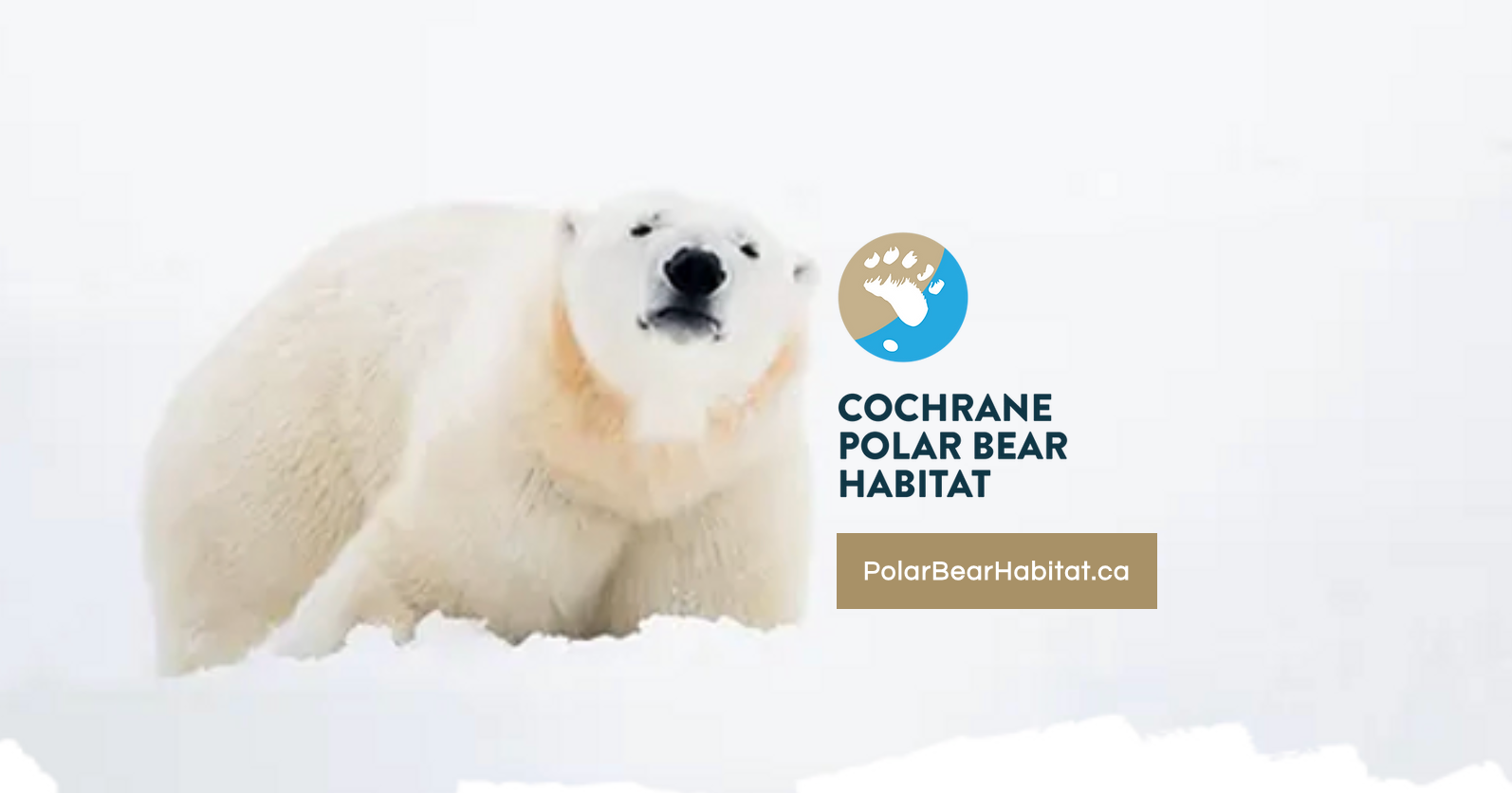 Cochrane Polar Bear Habitat