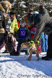 2026 – Kaitlynn Tidwell